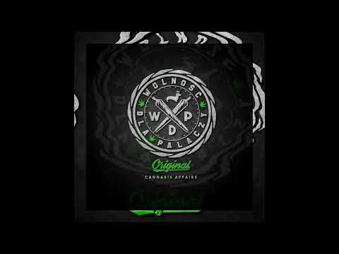 Gizmo WDP - Wiśniowy małpiszon