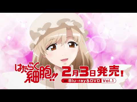 Blu-ray&DVD