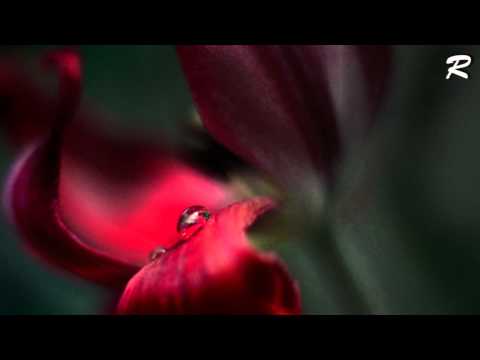 Eldar Mansurov - Gece zengleri