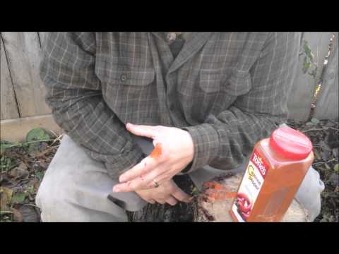 download lagu mp3 mp4 Cayenne Pepper On Cuts, download lagu Cayenne Pepper On Cuts gratis, unduh video klip Cayenne Pepper On Cuts