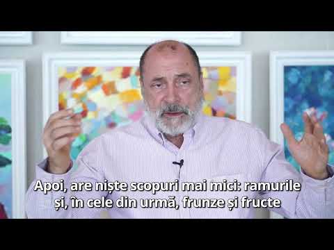 SN Lazarev - despre tristețe