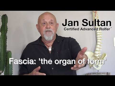 Fascia: 'the organ of form' with Jan Sultan