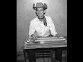 Johnny Bush and Buddy Emmons - Home In San Antone