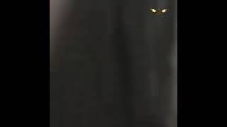 Download lagu Japanese mom mp3 Download lagu Japanese mom mp3