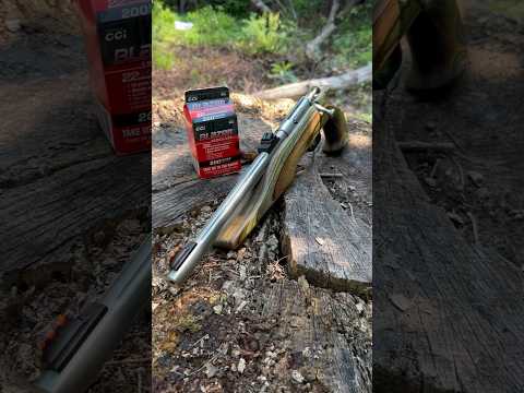 Keystone Crickett 22 Rimfire Rifle Test