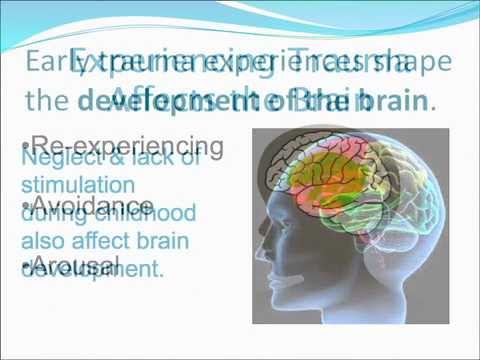 Trauma Module 5:Trauma and the Brain