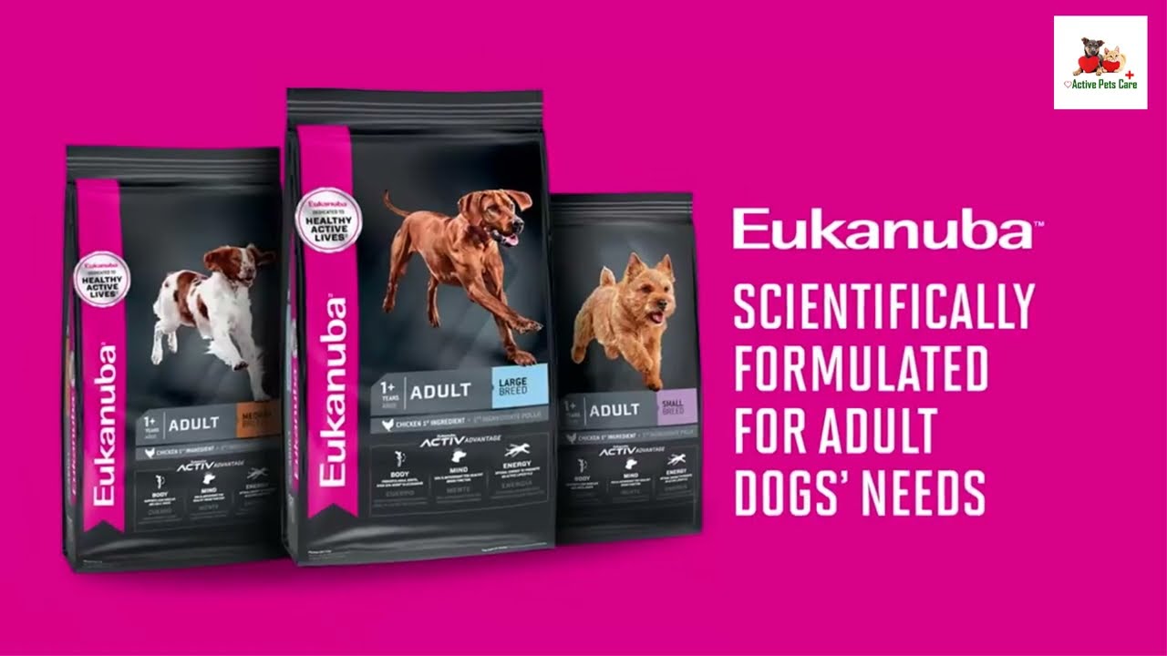 Eukanuba Adult Large Breed Dog Food Review for Your Lovely Pet || Best Dog Food