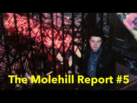 The Molehill Report #5 - Controlled Weirdness pt.2 - New York; re:focus; new Datacide website