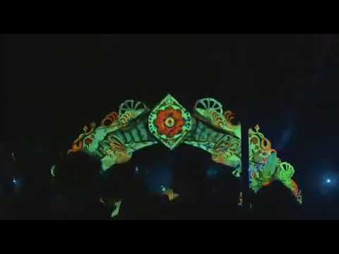 jungle groove- ecuador