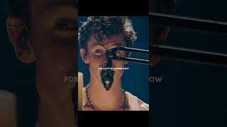 Shawn Mendes - Never Be Alone (Live in Concert) #shorts