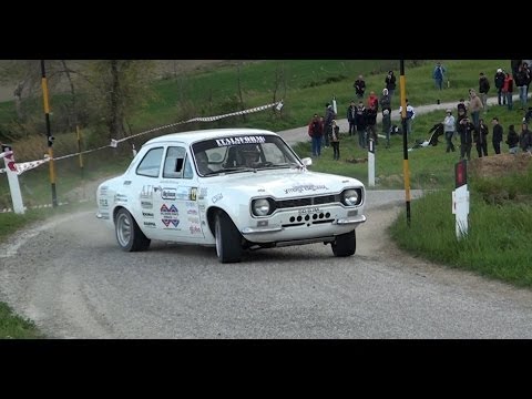 Davide Cesarini - 41° Circuito Rally 2014
