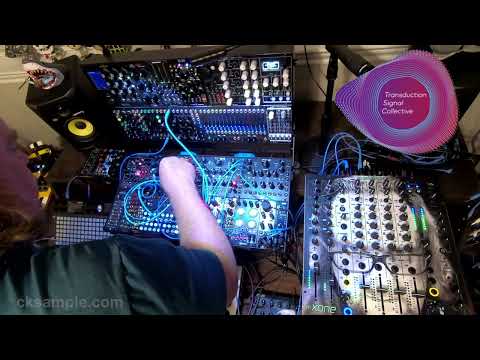 Murder of Crows & Bat & Wolf fiddling around with the new Pittsburgh Modular Safari Series