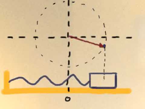 Simple harmonic motion and circular motion