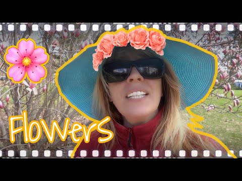 Flowers Idioms 💐🌻🌸 | Learn English | Modismos de flores | Aprende inglés | Vlogging #21