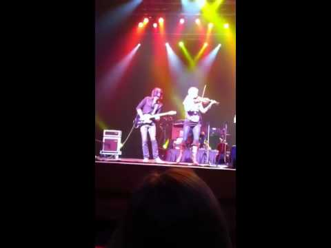 Courtyard hounds - the coast