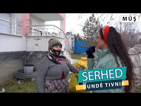 SERHED - GUNDÊ TIVNIK / MÛŞ (2024)