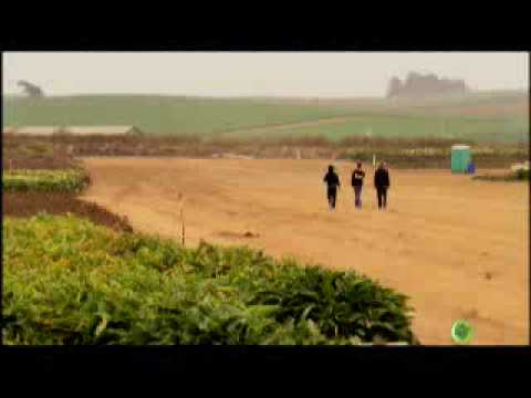 manuela mejia- tu eres parte-