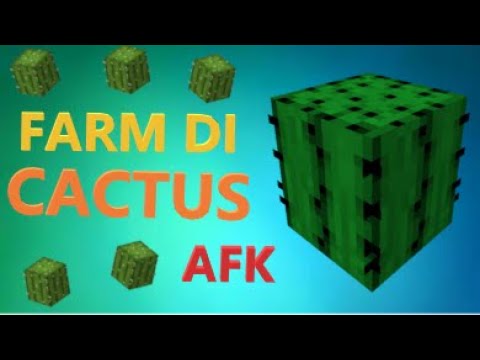 [1.20+] FARM DI CACTUS AUTOMATICA AFK - SUPER SEMPLICE