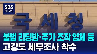 불법 리딩방·주가 조작 업체 등 고강도 세무조사 / SBS