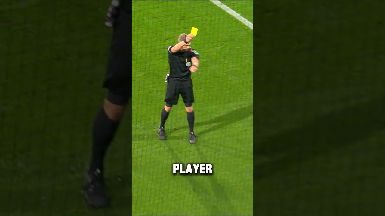 Was It Correct? 🤔