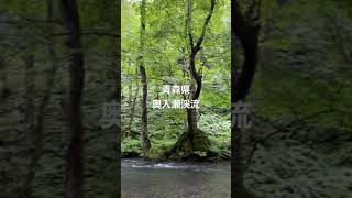 青森県　奥入瀬渓流　双白髪の滝