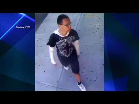 NYC Attempted Rape Suspect