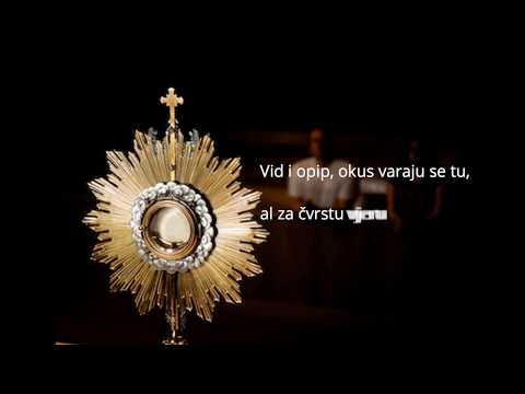 Klanjam Ti Se Smjerno- Radosna vijest