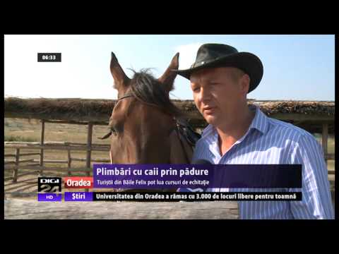 filmare de la digi Ionut Madalina 115154 115154 beta calarie