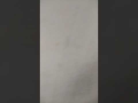 Grundierung auftragen/vorkleistern 👍💚