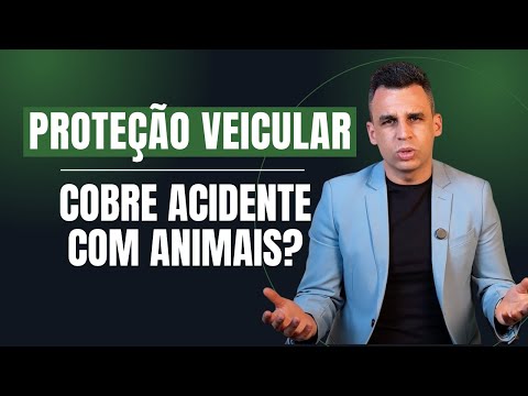 Proteção Veicular Cobre Atropelamento de Animais? Entenda as Regras de Cobertura