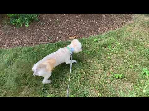 Eros with Mr wonderful the cat