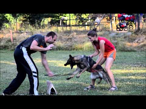 Hetty Aykmar - DEFENCE