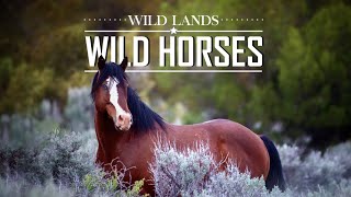 Wild Lands Wild Horses -  Pilot Episode - Twin Peaks