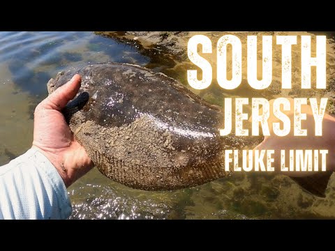 New Jersey Fluke Limit From Shore