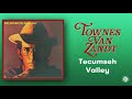 Townes Van Zandt - Tecumseh Valley (Official Audio)
