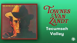 Townes Van Zandt - Tecumseh Valley (Official Audio)