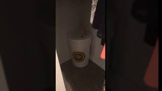 First Brew Day!