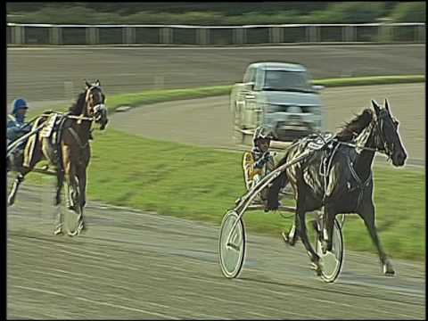 Trotto 18/09/2016 - 5ª corsa