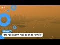 Kinderen hebben last van bosbranden