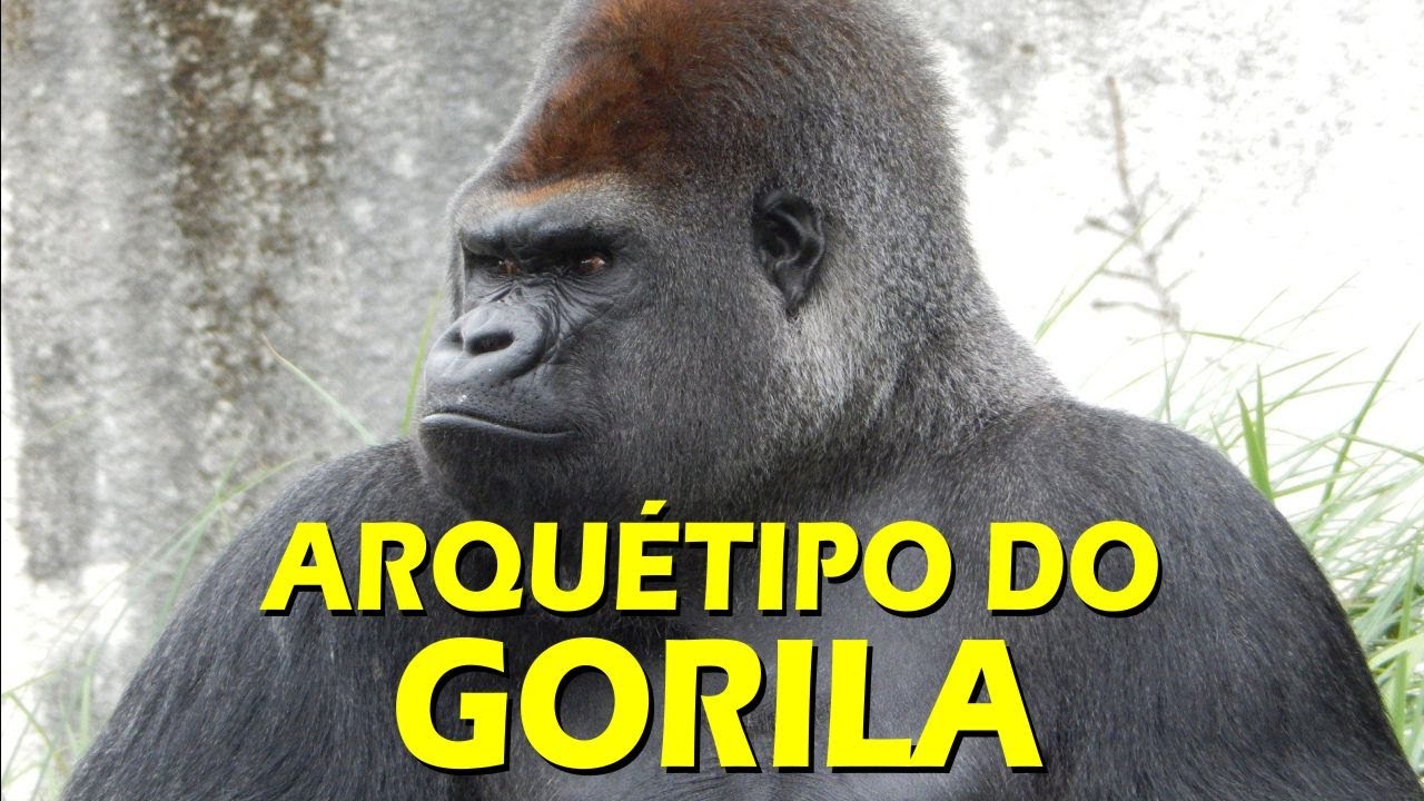 ARQUÉTIPO DO GORILA | ANIMAL ESPIRITUAL