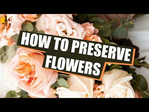 Learn How to Preserve Flowers 💐 🌹 🌻 #shorts