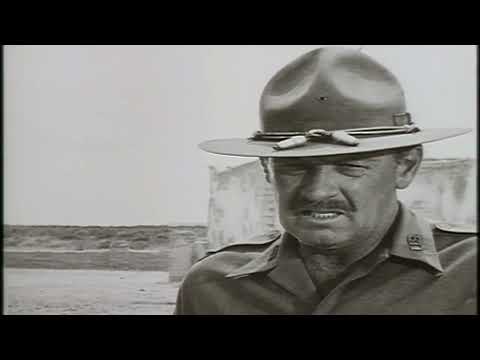 Il mucchio selvaggio (1969): un album in montaggio (candidato all'Oscar 1996) William Holden, War...