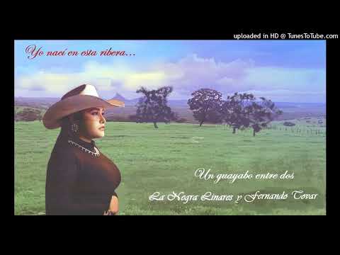 Un guayabo entre dos - La Negra Linares Y Fernando Tovar.