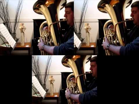 Sonic Boom (Snake Pit) - One Man Tuba Group