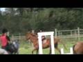 Alicia Au Galop