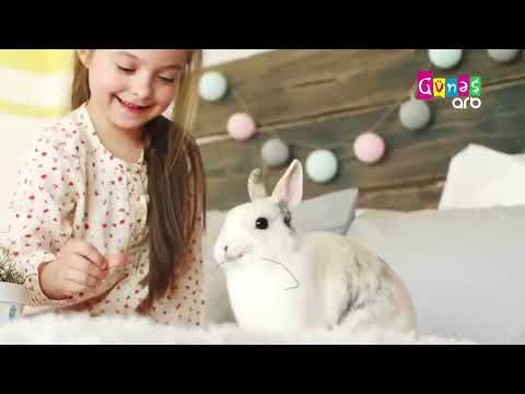 "Biləndərdən öyrən" - 7 fevral 2025-ci il