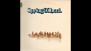 Only a Fool Would Say That (Steely Dan) - cover by SpringWheel