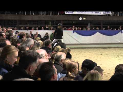 Bellini Royal 2014 unterm Reiter