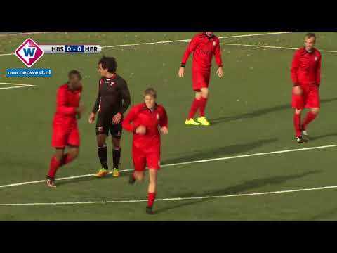 Samenvatting HBS - Hercules