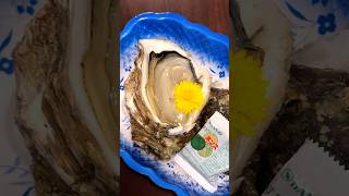 最後に生牡蠣が食べたい！